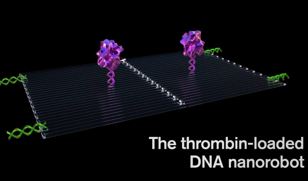 Crean nanorobots para combatir al cáncer y destruir tumores