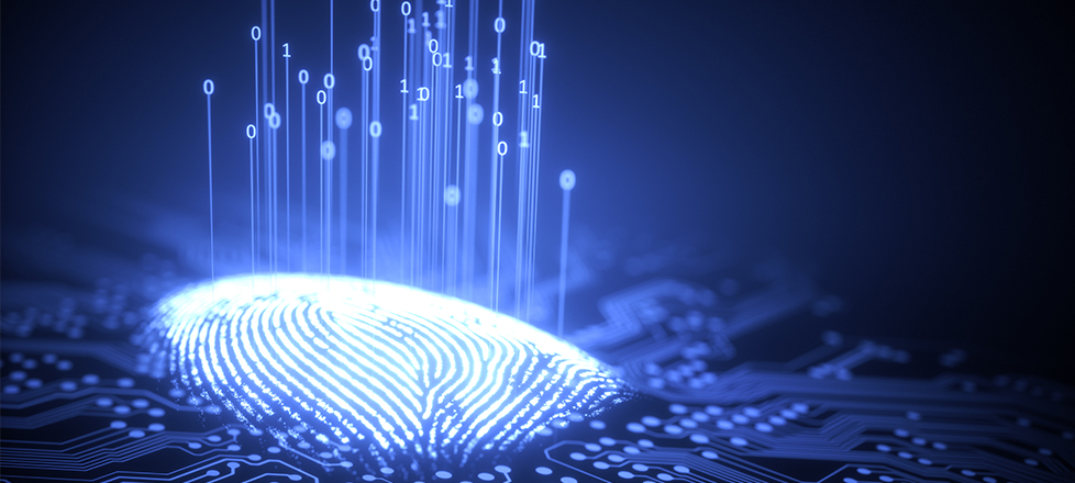 La-biometría-Cómo-comprenderla La-biometría-Cómo-comprenderla