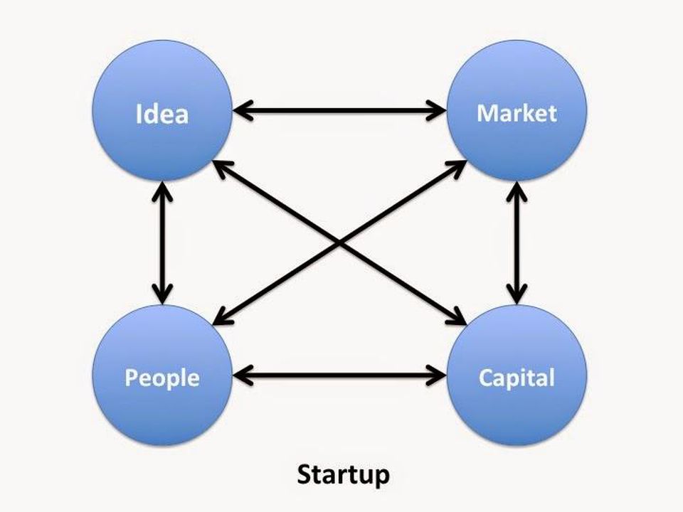 Principios-en-la-toma-de-decisiones-para-una-startup