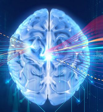 Una-startup-crea-la-posibilidad-de-digitalizar-tu-cerebro