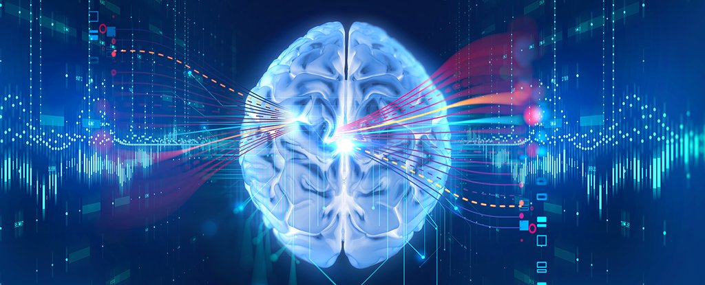 Una-startup-crea-la-posibilidad-de-digitalizar-tu-cerebro