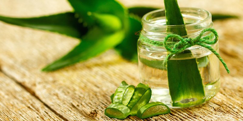 Cómo-utilizar-Aloe-Vera-para-mantener-su-piel-joven-y-sin-defectos Cómo-utilizar-Aloe-Vera-para-mantener-su-piel-joven-y-sin-defectos