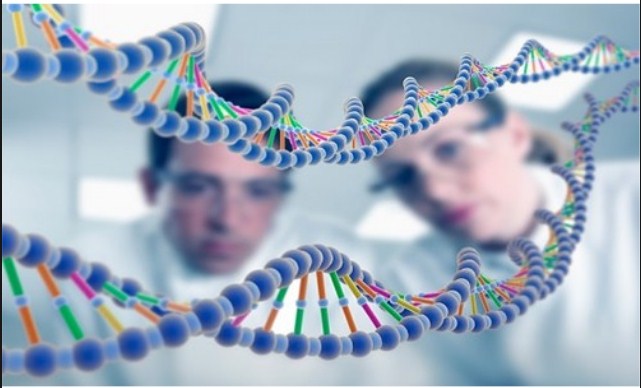 Estudio indica que las diferencias genéticas entre humanos son ínfimas